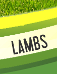 Lambs