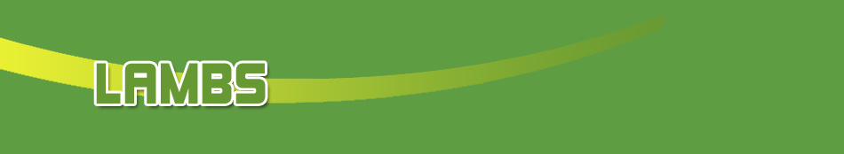 2011 Lambs